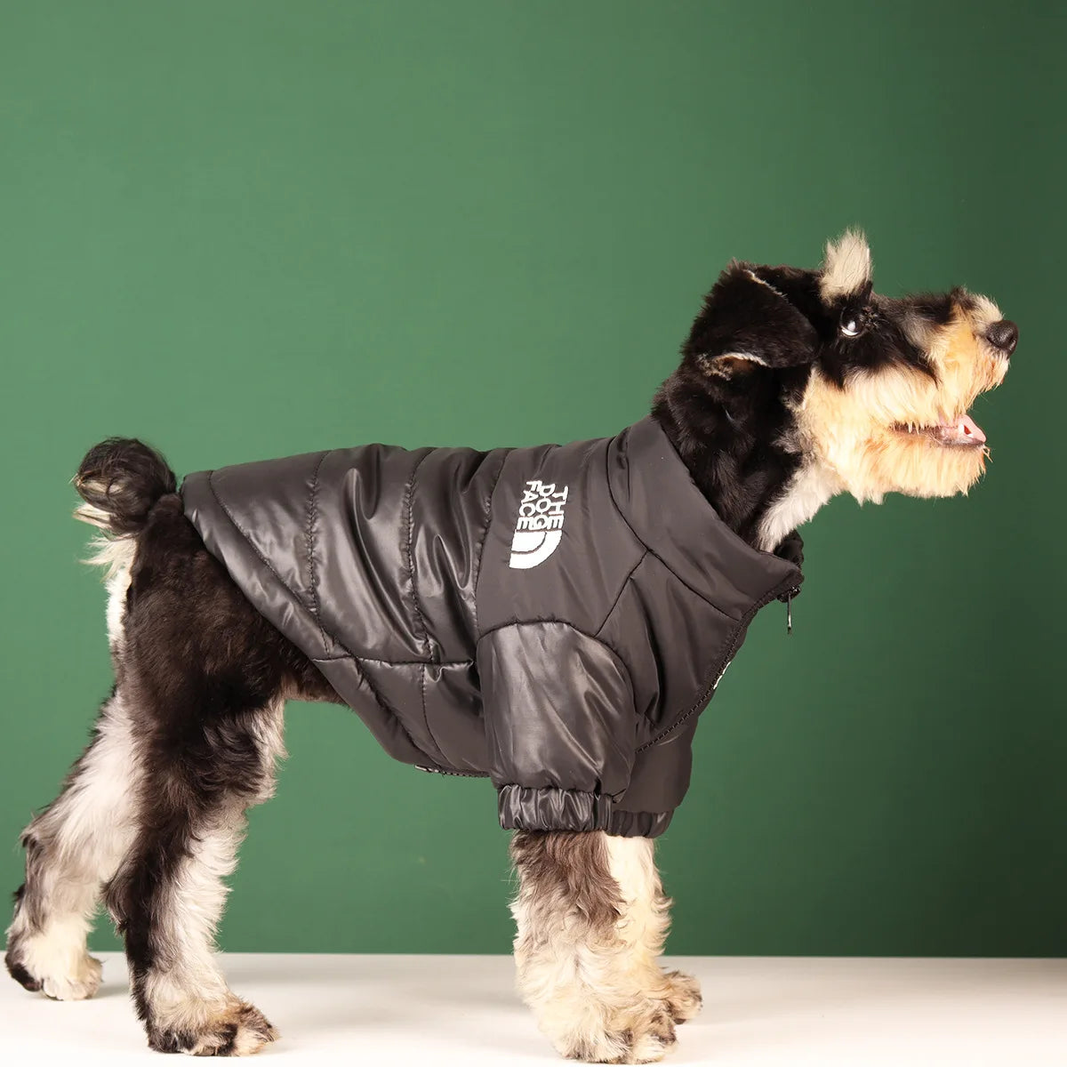 The Dog Face - Winter Jacket (XS - 3XL)