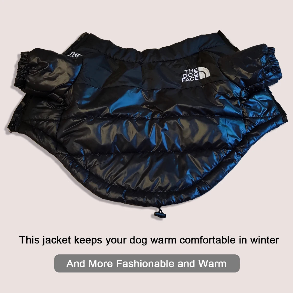 The Dog Face - Winter Jacket (XS - 3XL)